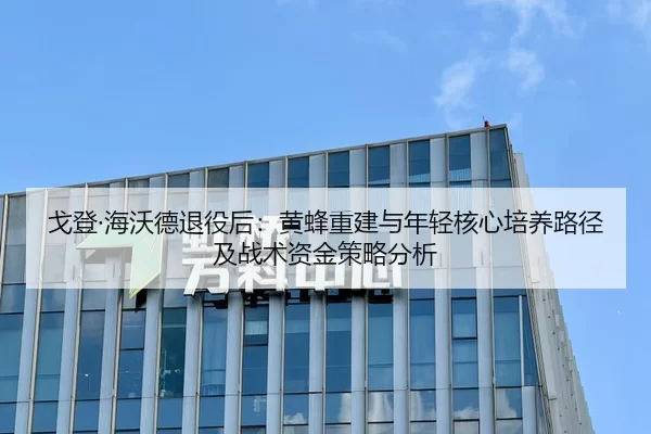 戈登·海沃德退役后：黄蜂重建与年轻核心培养路径及战术资金策略分析